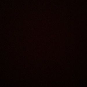 Meet your Posher, Jackson